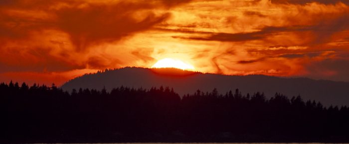 Evening Sail to the Wasp Islands, Flattop, and New Channel