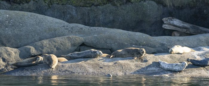 Sunset sail around Waldron and Skipjack Island